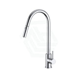 Xacta Xpressfit 304 Stainless Steel Polished Chrome Retractable Kitchen Mixer Swivel And Pull Out
