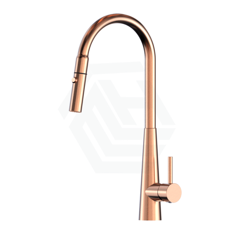 Xcel Xpressfit Rose Gold Stainless Steel Retractable Dual Spray Swivel Pull Out Mixer Tap Sink