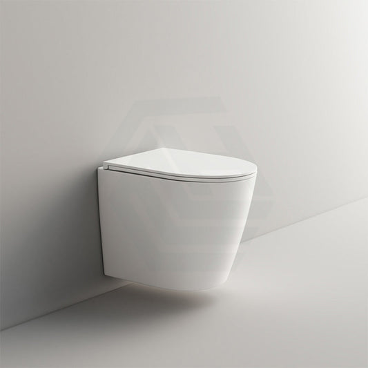 Ceramic Toilet Pan Wall Hung Rimless Round White